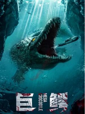 《长夜将明》剧集封面